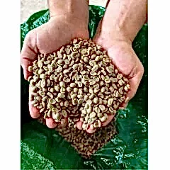 Kenya Arabica AA TOP AROMA Kavrulmuş Kahve