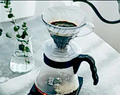 Hario V60 Kahve Demleme Seti “Şeffaf”