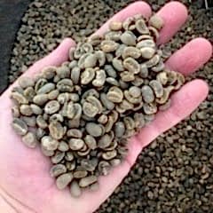 Sumatra Mandheling  15 kg Kav. Kahve Çekirdeği