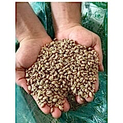 Guji Peaberry Washed Kavrulmuş Kahve