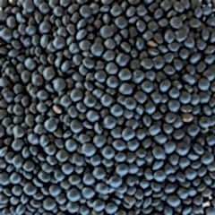 Beluga Mercimek 1 Kg